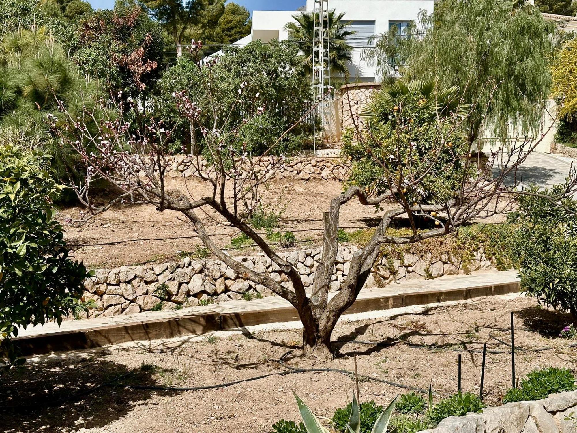 Casa Puput Villa Altea Exterior foto